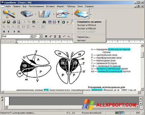 Screenshot CuneiForm untuk Windows XP