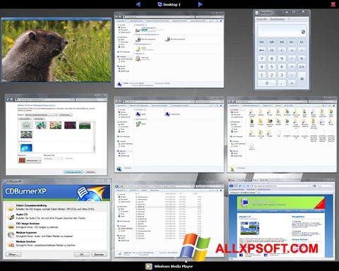 Screenshot Dexpot untuk Windows XP