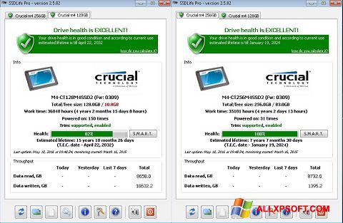 Screenshot SSDLife untuk Windows XP