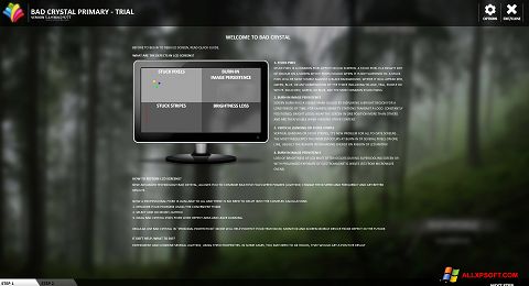 Screenshot Bad Crystal untuk Windows XP