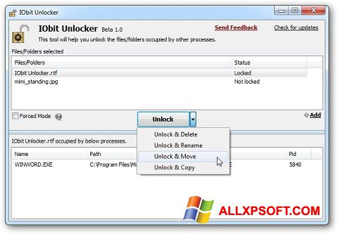 Screenshot IObit Unlocker untuk Windows XP