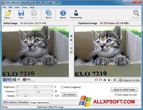 Screenshot RIOT untuk Windows XP