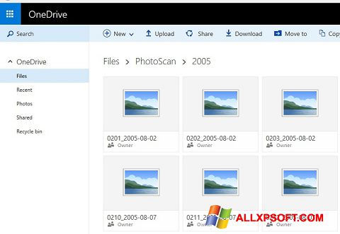 Screenshot OneDrive untuk Windows XP
